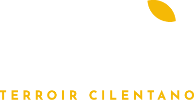 logo colline cilentane